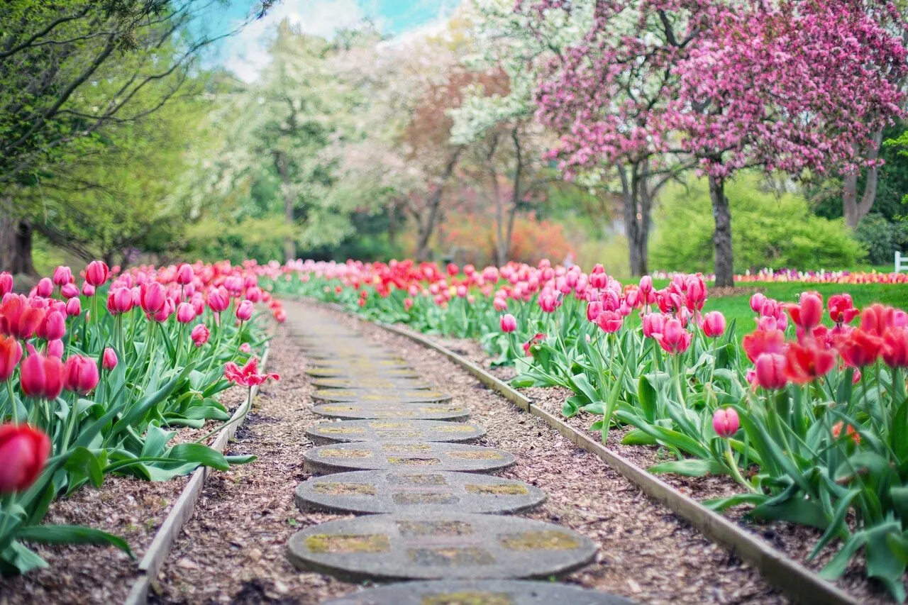 Frühling ist (nicht nur) für romantische Seelen. Was wir alle an der schönsten Jahreszeit lieben und warum￼